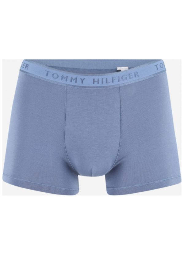 Pánské boxerky Tommy Hilfiger UM0UM02333 XL Modrá