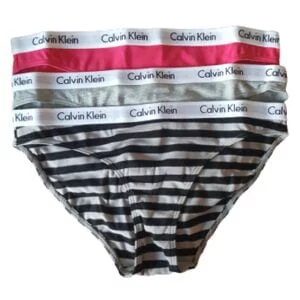 Dámské kalhotky Calvin Klein QD3801E 658 PLUS SIZE