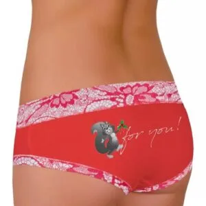 Dámské francouzské kalhotky 52/1-15/214+D213 FABIO