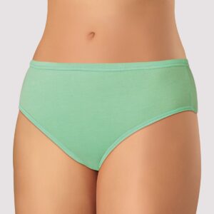 Dámské kalhotky ANDRIE 2312 bambus